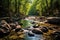 Serene Forest River Flowing Over Rocks