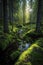 Serene Forest with Swaying Trees and Sun Rays