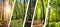 Serene forest travel adventure collage of divided segments with bright white light style