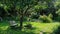 A serene garden with a bench nestled under a tree the ideal spot for a quiet reading session before dozing off under the