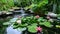 Serene Garden Pond with Water Lilies