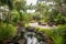 serene garden with water feature and peaceful setting for relaxing retreat