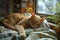 A serene ginger cat relaxes on plaid fabric, with warm sunlight and soft bokeh lights in the background.