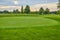 Serene Golf Course at Golden Hour with Mature Trees and Gentle Sky