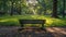 Serene Green Park Landscape with Trees and Grass