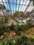 Serene Greenhouse Oasis
