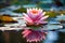 Serene Harmony: Delicate Frog on Pink Water Lily Pad in Calm Pond