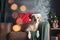 Serene Labrador Retriever in a Santa hat lounges on a sofa