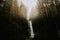 Serene landscape of a Cascade falls in British Columbia Canada during foggy weather