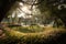 serene landscape with hammocks and swings suspended among blooming flowers