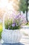 Serene Lavender Basket Basking in Soft Morning Light Amidst a Dreamy Bokeh