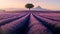 Serene lavender field at sunrise with solitary tree and mountain backdrop. calm, vibrant landscape ideal for decor. AI