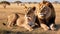 Serene Lions in African Savannah