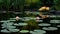 Serene Lotus Pond at Twilight