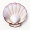 Serene Maritime Shell With Scallop On White Background