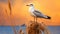 Serene Maritime Theme: Stunning Seagull Perched On Reed