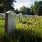 Serene memorials Grave stones stand in peaceful harmony at the cemetery