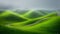 Serene misty landscape lush green hills with winding dirt path through vibrant vegetation