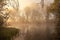 Serene misty morning on a lakeside