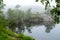 Serene misty morning on a lakeside