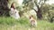 A serene moment unfolds as a woman enjoys playtime with joyful dogsin a lush grove