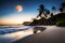 A serene moonlit beach with waves gently washing ashore, framed by palm trees