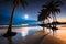 A serene moonlit beach with waves gently washing ashore, framed by palm trees