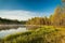 Serene morning at forest pond