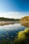 Serene morning at forest pond