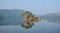 Serene morning on lake Padma Talao in. Ranthambore National Park, Rajasthan, India