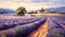 A Serene Morning In Provence\\\'s Lavender Fields