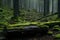 A serene moss-covered forest with a fallen tree. AI Generated