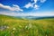 serene mountain landscape with rolling hills, wildflowers, and clear blue skies