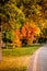 Serene natural landscape of autumn forest with trail through trees