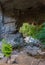 Serene Natural Rock Cave Overlooking a Forest Stream