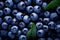 Serene Nature blueberry background. Generate Ai