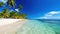 serene ocean and beach with crystal clear waters and verdant palm trees tropical paradise