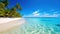 serene ocean and beach with crystal clear waters and verdant palm trees tropical paradise