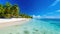 serene ocean and beach with crystal clear waters and verdant palm trees tropical paradise