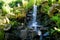 Serene outdoor scene with a cascading waterfall and lush plants
