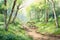 A serene outdoor trail for a walk self care background