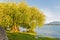 Serene panorama of the calm waters of Panguipulli Lake, from the village of Panguipulli. Patagonian area, Chile