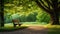 A Serene Park Bench in the Midst of a Vibrant Green Landscape