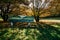 Serene park bench under autumn trees