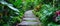 Serene Path Amidst Lush Tropical Foliage In An Enchanting Garden Setting