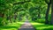 A serene pathway nestled between rows of trees guiding the way to a vibrant, lush green park, A delightful view of a tree-lined