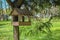Serene Pine Park: Rustic Bird Feeder and Charming Birdhouse. A Delightful Retreat Amidst Nature\'s Beauty.