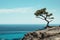Serene Pine Tree on Lanzarote Cliffside and Beach AI Generated