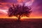 Serene Plum ripe tree sunset nature farm. Generate Ai