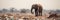 Serene yet poignant image of a majestic elephant standing alone in a barren landscape, surrounded by trash, concept of